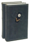 Похождения бравого солдата Швейка В двух томах (подарочное издание) Серия: Библиотека мировой литературы инфо 316g.