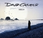 David Gilmour Smile (Single) Формат: Audio CD (Jewel Case) Дистрибьютор: Gala Records Лицензионные товары Характеристики аудионосителей 2006 г Single инфо 5360g.